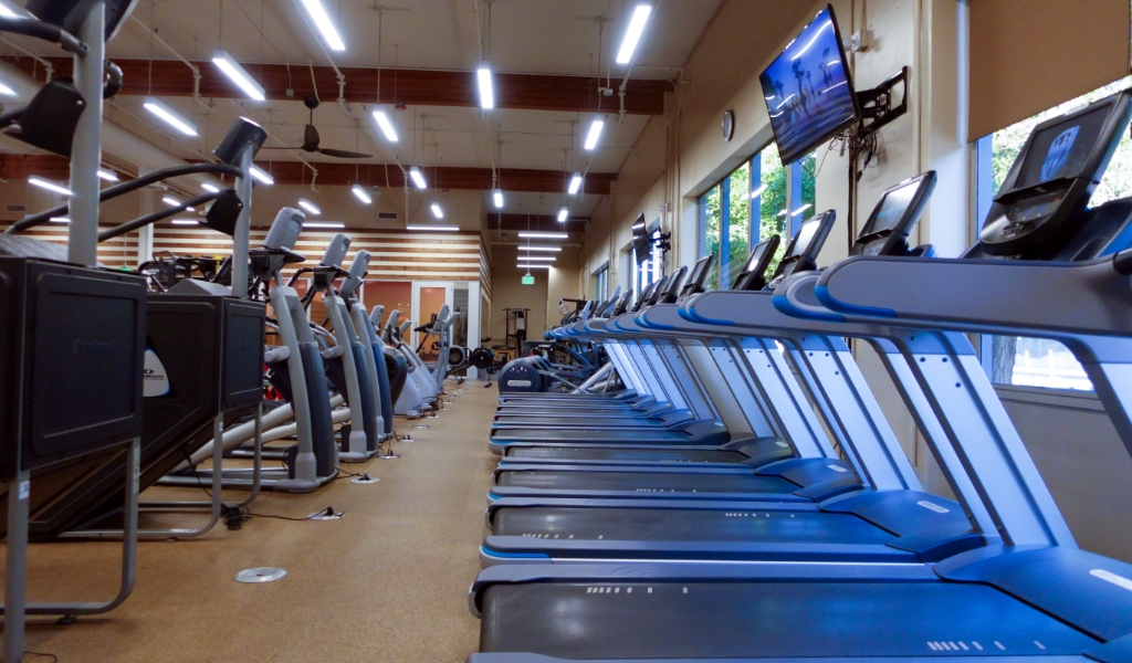 treadmills and other gym equipment at the body kinetics san rafael gym